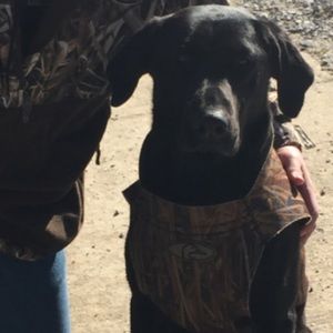 Meet your Posher, Cameron